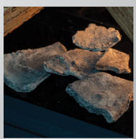 50-3851