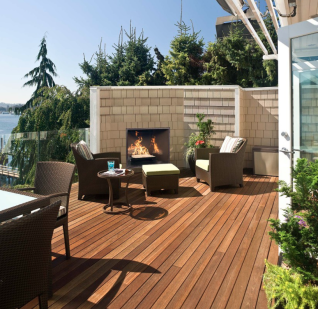 TC42 OUTDOOR DIRECT VENT GAS FIREPLACE, NG